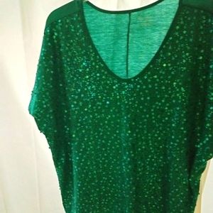 Lane Bryant Sparkly top
